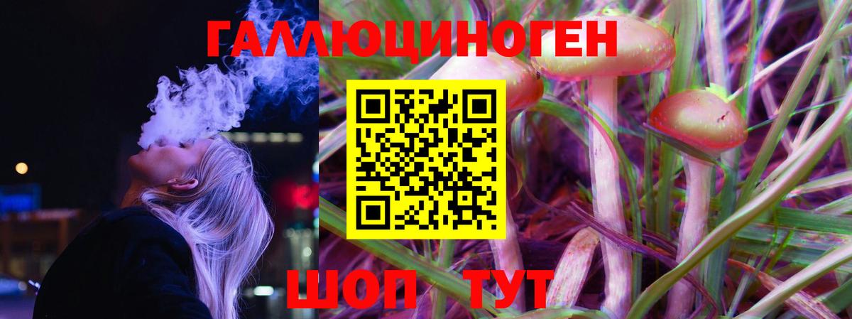закладка  Псилоцибиновые грибы MAGIC MUSHROOMS  Электрогорск  Вход с VPN  Псилоцибиновые грибы Magic Shrooms 