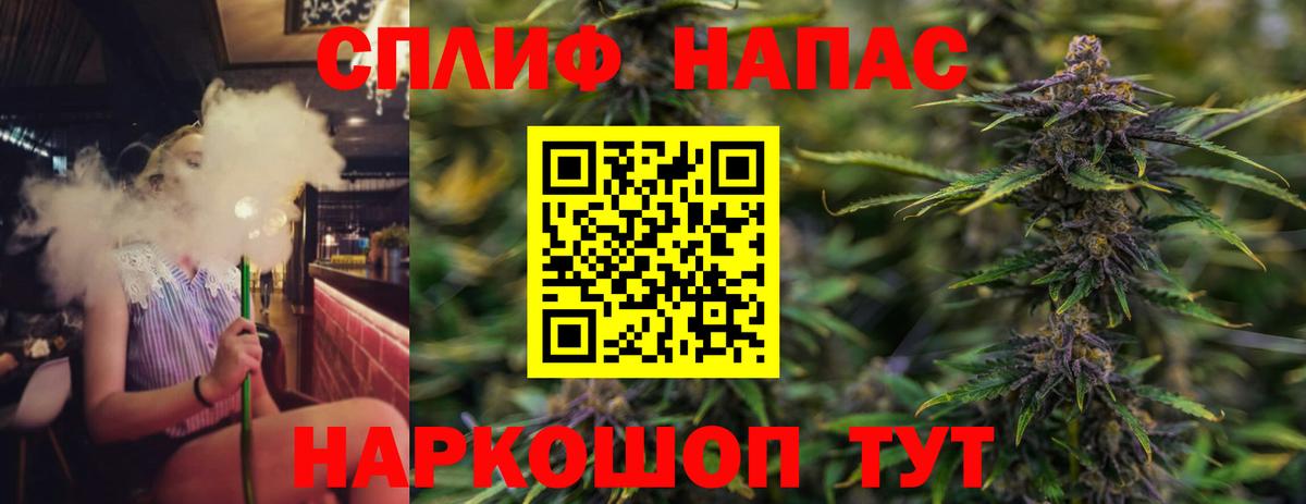 Канабис план Электрогорск